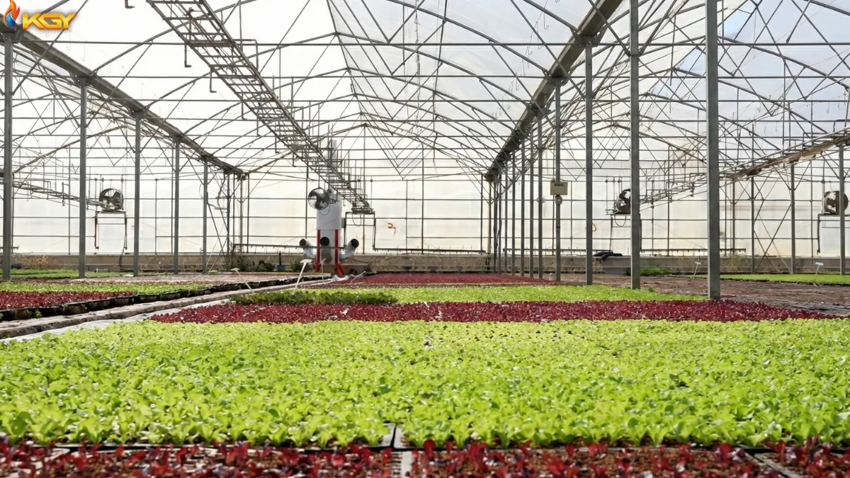 چرا هیتر ECO250 گرمایش پاک را به گلخانه شما هدیه میدهد؟ 1 گرمایش پاک گلخانه با هیتر گلخانه کولاک گستر یزد