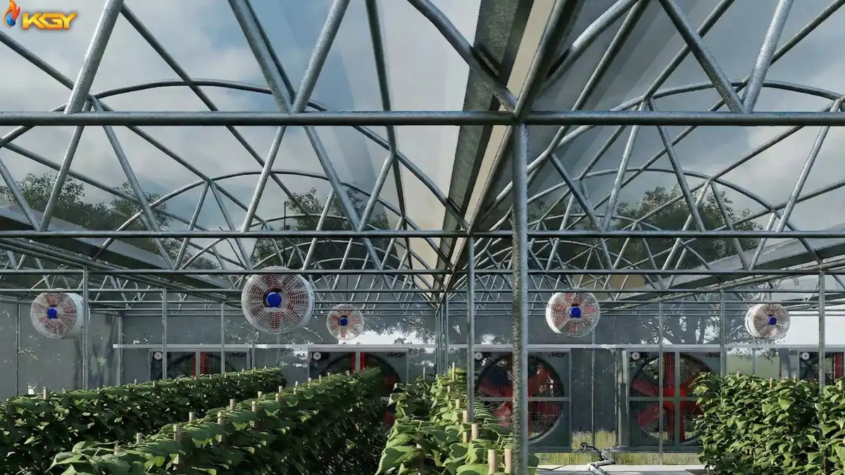 تفاوت فن اگزاست و فن سیرکوله: کدام یک را اول بخریم؟ 1 تهویه گلخانه