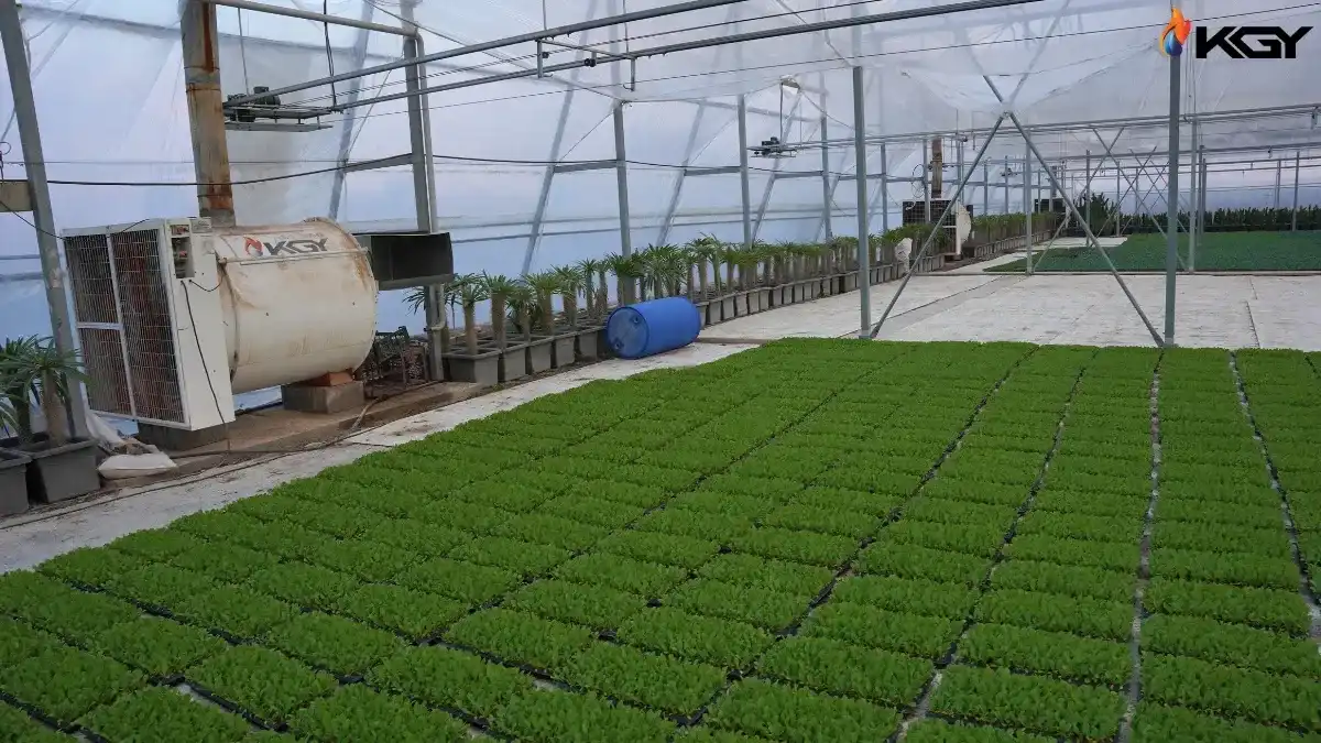 کاهش اتلاف گرما گلخانه