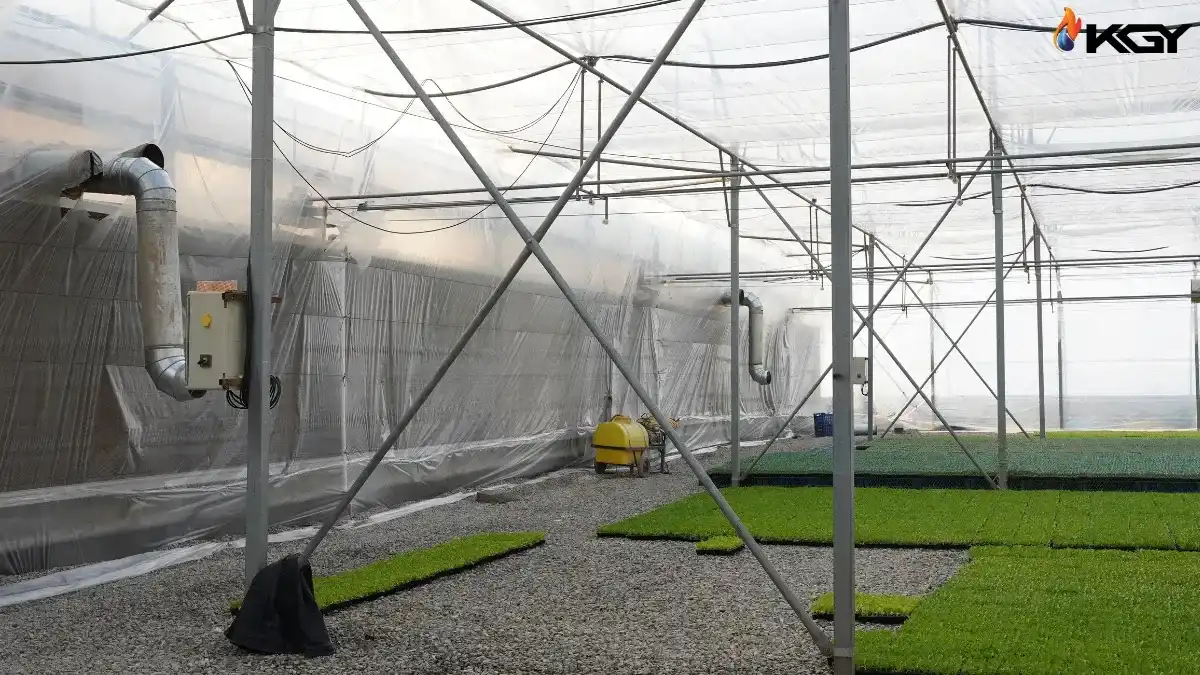 پوشش گلخانه در حفظ دما و کاهش اتلاف حرارت گلخانه