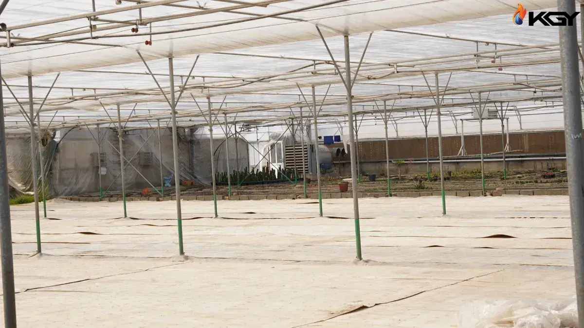 گلخانه ایرانی