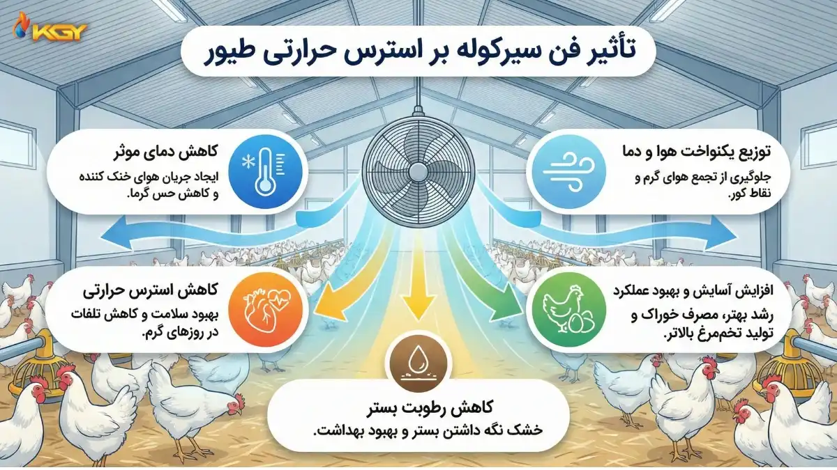 تاثیر فن سیرکوله بر استرس حرارتی طیور و مرغداری