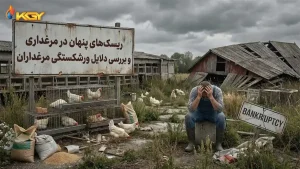 خانه 60 ریسک و ورشکستگی در مرغداری