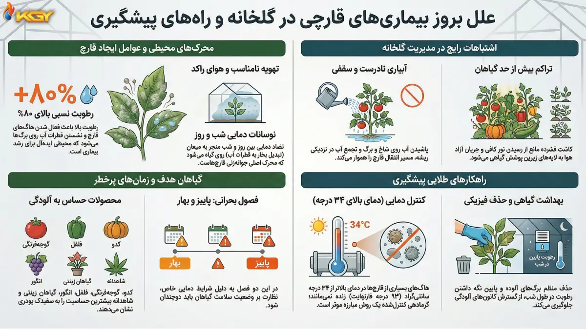هر آنچه باید دربارهی بیماریهای قارچی گلخانه بدانید 2 علت های بروز بیماری های قارچی در گلخانه ها