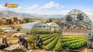 خانه 59 کشاورزی مدرن