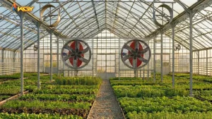 خانه 60 بهبود هوای گلخانه با محصولات تهویه