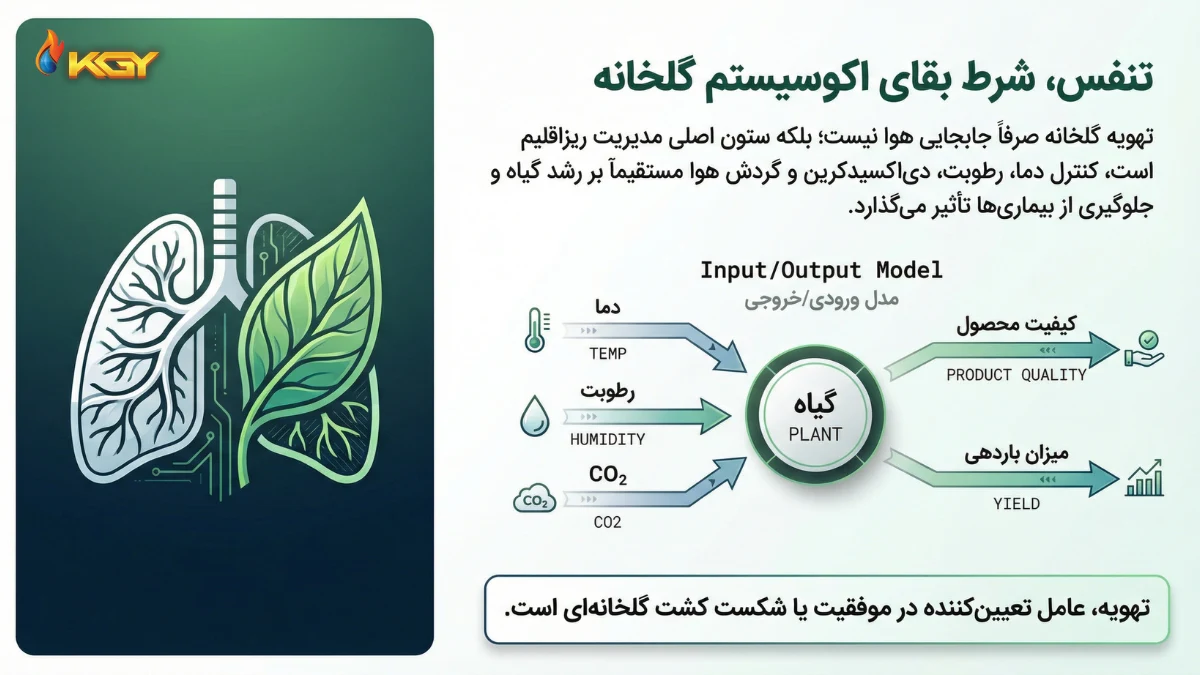 کولاک گستر یزد