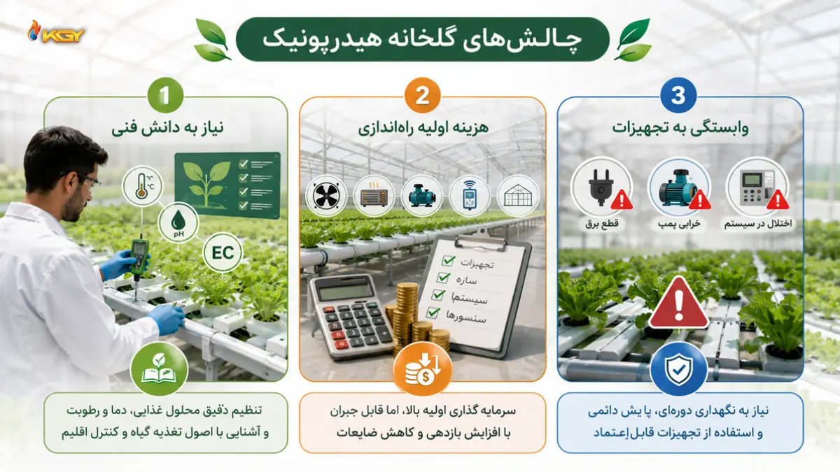 مشکلات و چالش های گلخانه هیدروپونیک