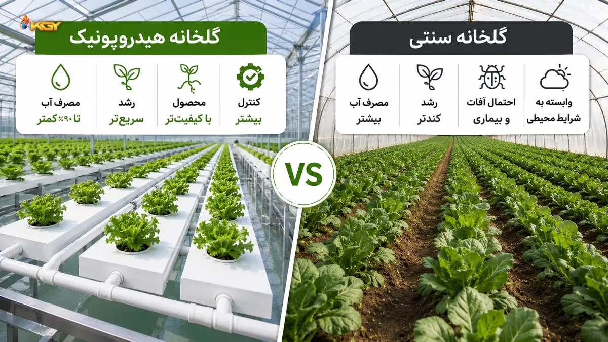 تفاوت گلخانه سنتی و هیدروپونیک