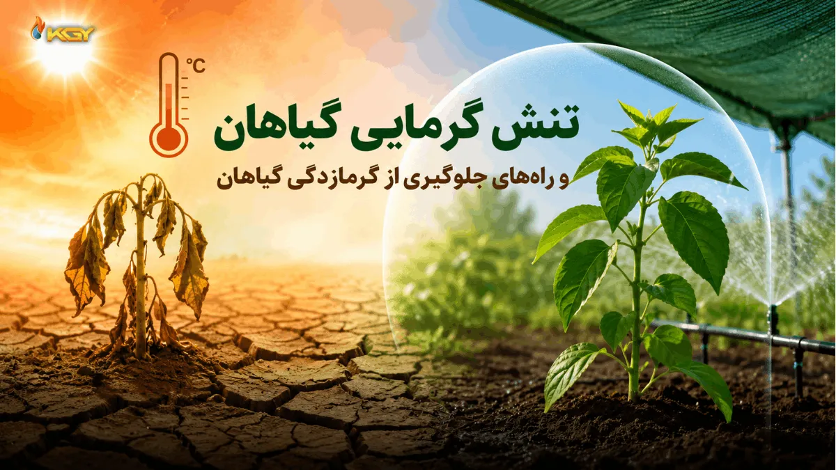 تنش گرمایی گیاهان